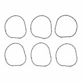Fuel Injection Plenum Gasket Set | 15-10300-01
