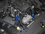 aFe Bladerunner Intercoolers Tube - Blue Hot/Cold Side 15-16 Ford Mustang EcoBoost L4-2.3L (t) | 46-20254-L