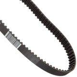Hawk Positive Drive Belt | 20005M09