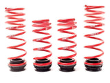 H&R VTF Adjustable Lowering Springs | BMW F10 | 528i | 535i | 23000-1