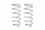 Eibach Pro-Truck Springs for 2010+ Toyota 4Runner - Rear (Must Be Used w/ Pro-Truck Rear Shocks) | E30-82-071-02-02