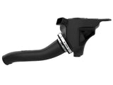 AFE aFe Momentum GT Pro DRY S Cold Air Intake System 12-16 BMW Z4 28i/xi (E89) I4 2.0L (t) N20 51-76315