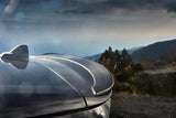 3D Design F54 Mini Cooper Clubman Carbon Roof Spoiler | 3110-25411
