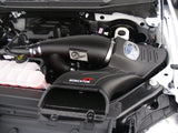 aFe Momentum GT Pro 5R Intake System 2016 Ford F-150 EcoBoost V6-2.7L/3.5L (tt) | 54-73112-1
