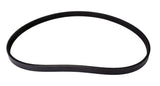 Continental Multi-V Belt 9091602556-CON