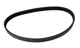 Continental Multi-V Belt 3032228-CON