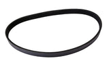 Continental Multi-V Belt 3084037-CON