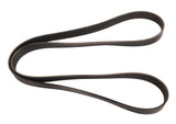 Continental Multi-V Belt 4080885-CON