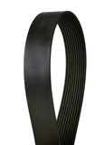 Multi-V Belt | D8410006102220