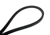 Continental Truck Refrigeration Belt D11026503-CON