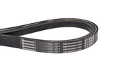 Continental Truck Refrigeration Belt 41063-CON
