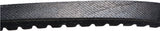 Continental Truck Refrigeration Belt 41066-CON