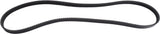 Truck Refrigeration Belt | 41073