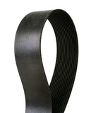 Multi-V Belt | D11026344
