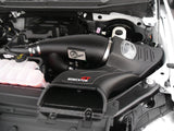 AFE aFe Momentum GT Pro DRY S Intake System 2016 Ford F-150 EcoBoost V6-2.7L/3.5L (tt) 51-73112-1