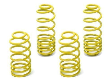 NEUSPEED Spring Kit Race | Mk4 Golf & Jetta | 55.10.89