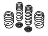 NEUSPEED Race Spring Kit - VW / Mk7 Golf Sportwagen 1.8T / Mk7 GLi | 55.70.11