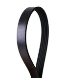 Metric Multi-V Belt - Fiat | 68081717AB