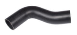 Coolant Hose | 534905