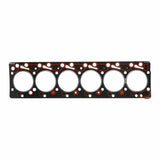 Engine Cylinder Head Gasket | 61-10360-00