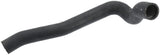 Coolant Hose | 10120054