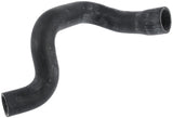 Coolant Hose | 10229480