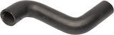 Coolant Hose | 4546498