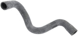 Coolant Hose | 10135653