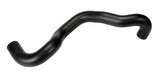 Coolant Hose | 62173