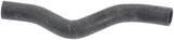Coolant Hose | 215018J000