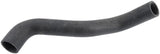 Coolant Hose | 55038026AG