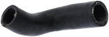 Continental Molded Heater Hose 12558969-CON
