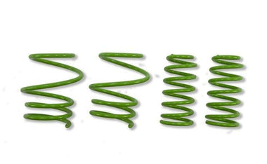 ST Suspension Sport Spring Kit - R5X MINI | 65431
