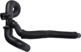Coolant Hose | LF5015185D