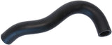 Coolant Hose | 19502PZA000