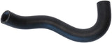 Continental Coolant Hose 19502PZA000-CON
