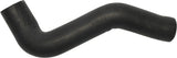 Coolant Hose | 3947868