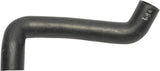 Coolant Hose | 3882826