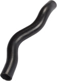 Continental Coolant Hose 19501PHM000-CON