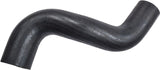Coolant Hose | 215031PD0A