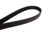 Continental Metric Multi-V Belt - Hyundai 252123C300-CON