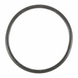 Exhaust Pipe Flange Gasket | 71-13679-00
