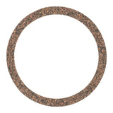 Air Cleaner Mounting Gasket | 71-13854-00