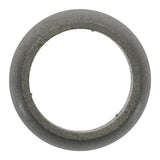 Catalytic Converter Gasket | 71-13914-00