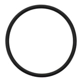 Engine Coolant Thermostat Housing Seal | 71-13954-00