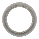 Exhaust Pipe Flange Gasket | 71-15790-00