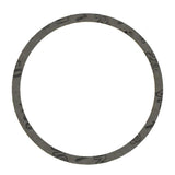 Exhaust Pipe Flange Gasket | 71-37198-00