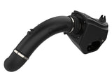 AFE aFe Quantum Cold Air Intake System w/ Pro Dry S Media 15-19 Ford F-150 V8-5.0L 53-10010D