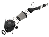 AFE aFe Momentum GT Pro DRY S Cold Air Intake System 05-11 Toyota Tacoma V6 4.0L 51-76004