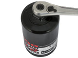AFE aFe Pro GUARD D2 Oil Filter 97-08 Ford Trucks V6 4.2L / V8 4.6L (4 Pack) 44-LF007-MB